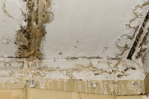 Best Real Estate Mold Inspection  in Weston Lakes, TX