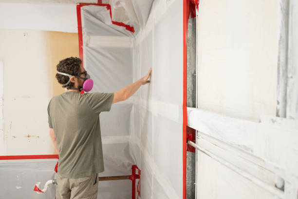 Professional Mold Removal in Weston Lakes, TX