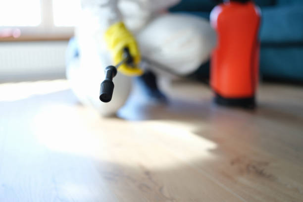 Weston Lakes, TX Mold Removal Pros