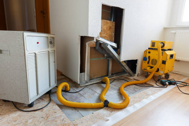 Dehumidification Services in Weston Lakes, TX