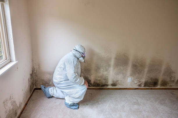 Best Biohazard Mold Removal  in Weston Lakes, TX